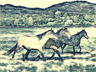 serbest el at Sanat illüstrasyon boya