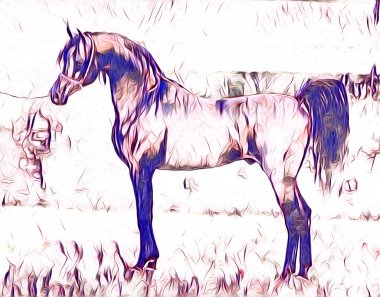 serbest el at Sanat illüstrasyon boya