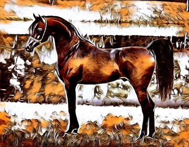 serbest el at Sanat illüstrasyon boya