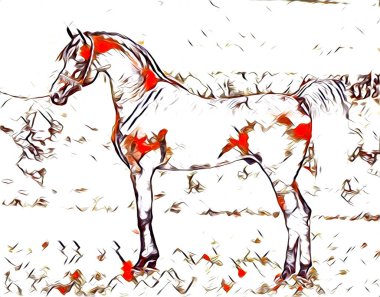 serbest el at Sanat illüstrasyon boya