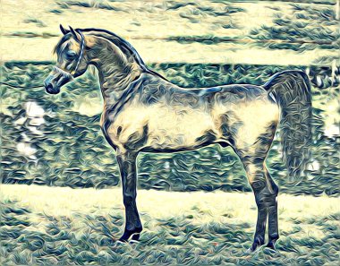 serbest el at Sanat illüstrasyon boya