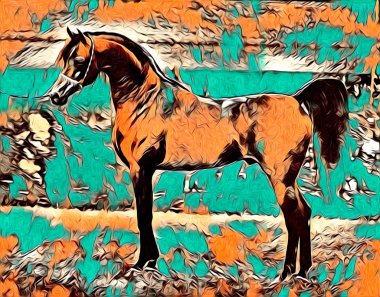 serbest el at Sanat illüstrasyon boya