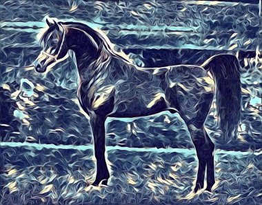 serbest el at Sanat illüstrasyon boya