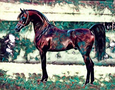 serbest el at Sanat illüstrasyon boya