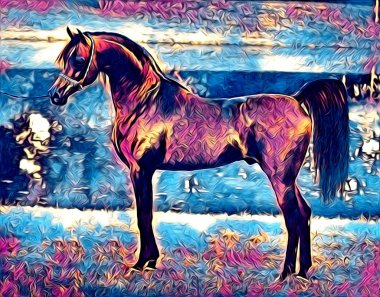 serbest el at Sanat illüstrasyon boya