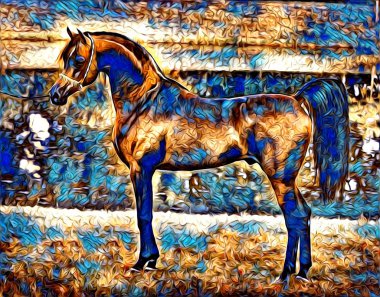 serbest el at Sanat illüstrasyon boya