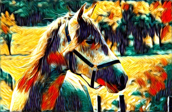 Freehand Horse Art Illustration Paint — Stock Photo, Image