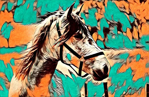 Freehand Horse Art Illustration Paint — Stock Photo, Image