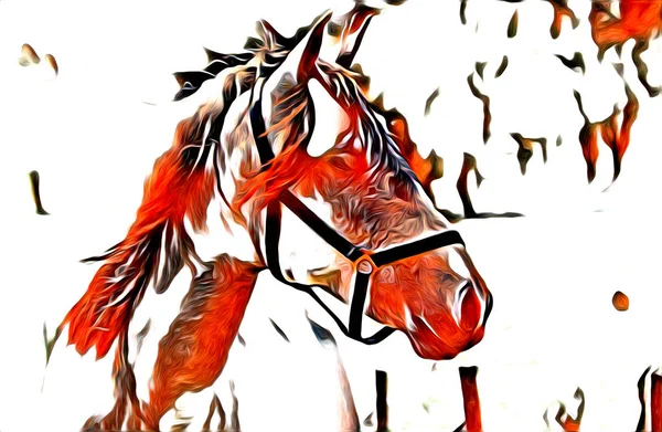 Arte Caballo Mano Alzada Ilustración Pintura — Foto de Stock