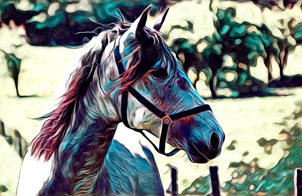 Ruky Koně Umění Obrázek Barvy — Stock fotografie