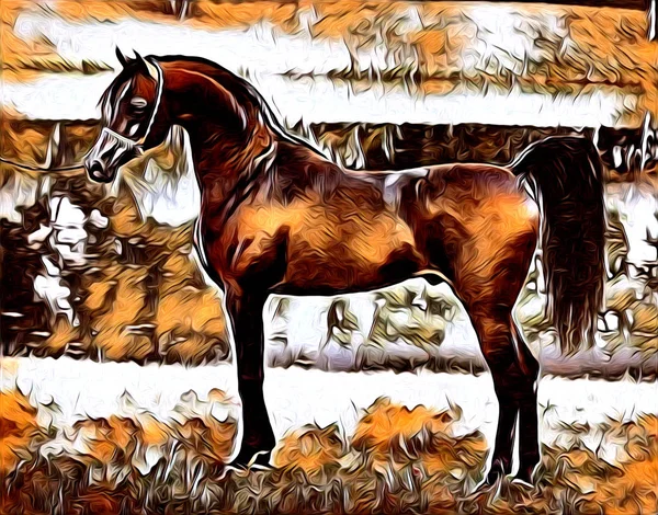 serbest el at Sanat illüstrasyon boya