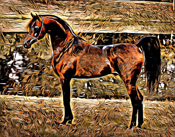 Freehand Paard Kunst Illustratie Verf — Stockfoto