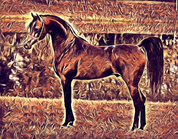 Ruky Koně Umění Obrázek Barvy — Stock fotografie