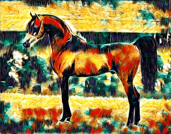 serbest el at Sanat illüstrasyon boya