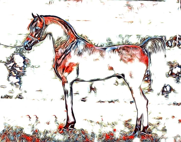 Freehand Paard Kunst Illustratie Verf — Stockfoto