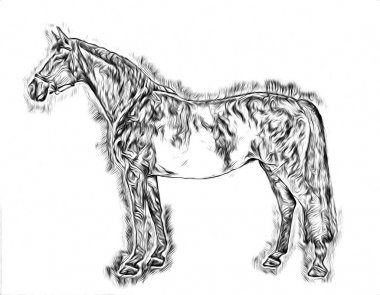 serbest el at baş karakalem