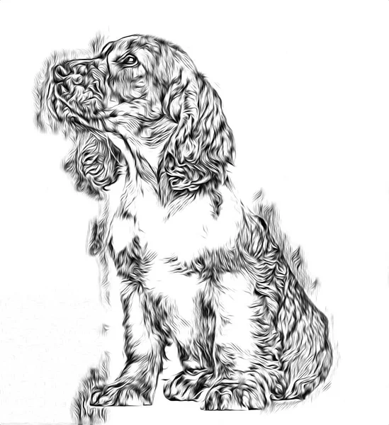 Lustige Hundekunst Illustration — Stockfoto