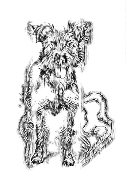Rolig Hund Konst Illustration — Stockfoto