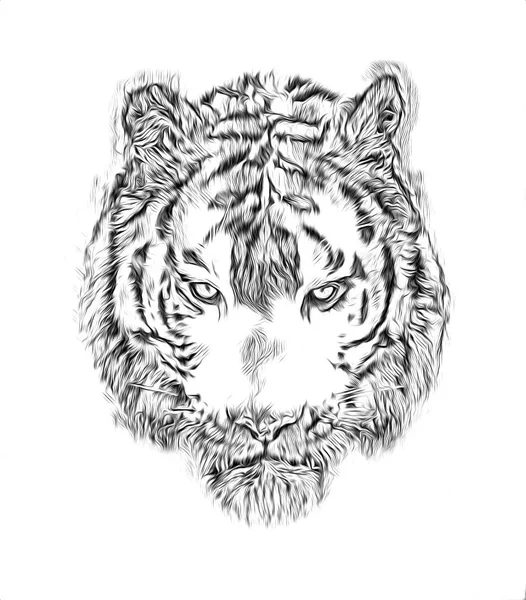 Desenho Ilustração Arte Tigre — Fotografia de Stock