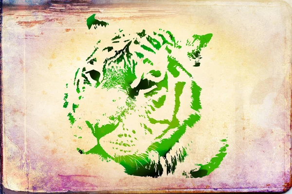 Tiger Arte Ilustración Color — Foto de Stock