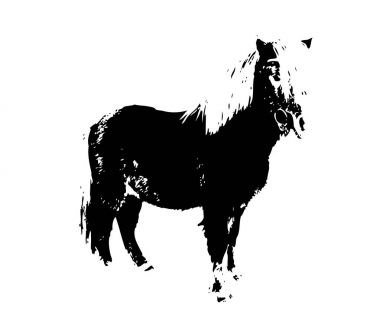 serbest el at baş karakalem