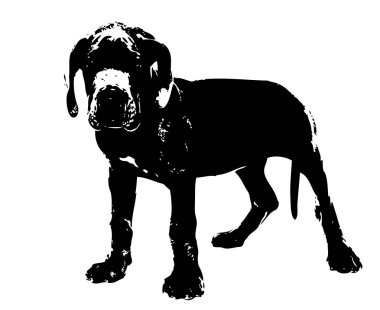 Komik köpek sanat illüstrasyon