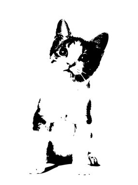 Bir kedi sanat illüstrasyon kroki