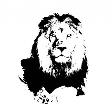 Aslan sanat çizim çizim