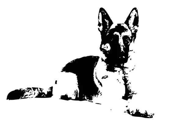 Lustige Hundekunst Illustration — Stockfoto