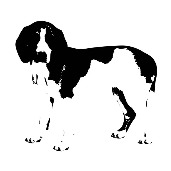 Funny Dog Art Illustration — Stock Photo, Image
