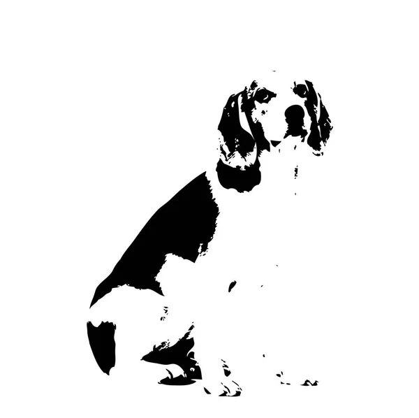 Rolig Hund Konst Illustration — Stockfoto