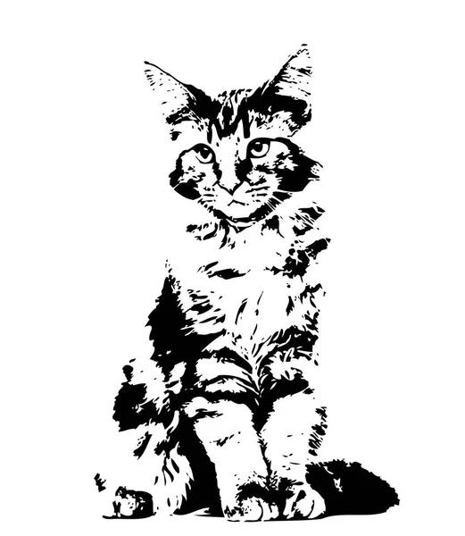 Croquis Une Illustration Art Pour Chat — Photo