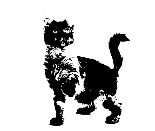 猫艺术插图示意图 — 图库照片