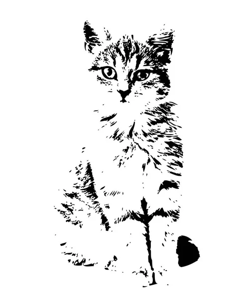 Croquis Une Illustration Art Pour Chat — Photo