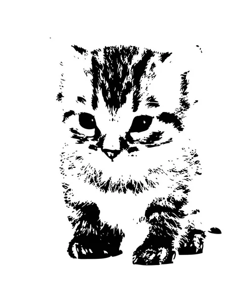 Boceto Una Ilustración Arte Gato — Foto de Stock