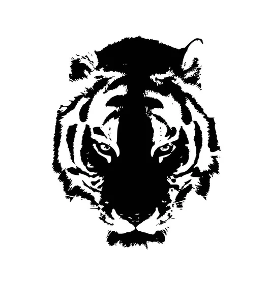 Desenho Ilustração Arte Tigre — Fotografia de Stock