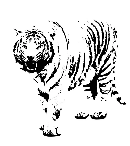 Tiger Art Illustration Ritning — Stockfoto