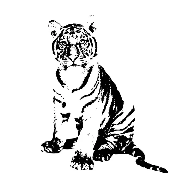 Dibujo Ilustración Arte Tigre — Foto de Stock