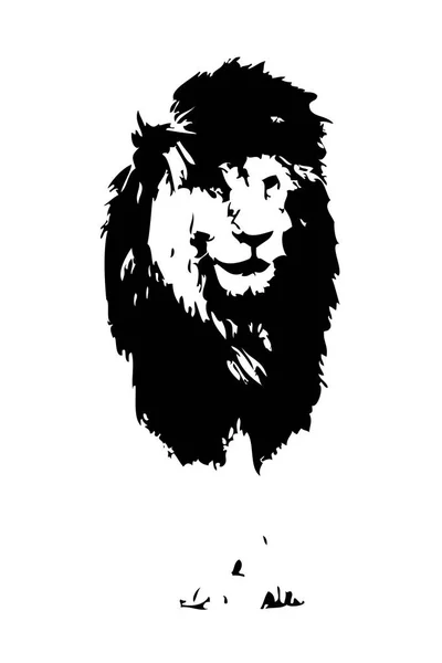 Lion Art Illustration Dessin — Photo