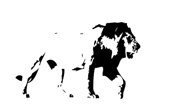 Lion Art Illustration Ritning — Stockfoto