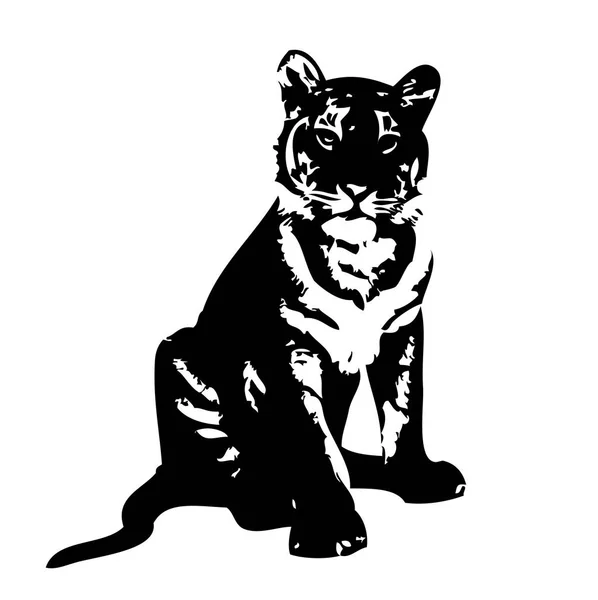 Tigre Arte Illustrazione Disegno — Foto Stock