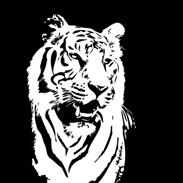 Tigre Art Illustration Dessin — Photo