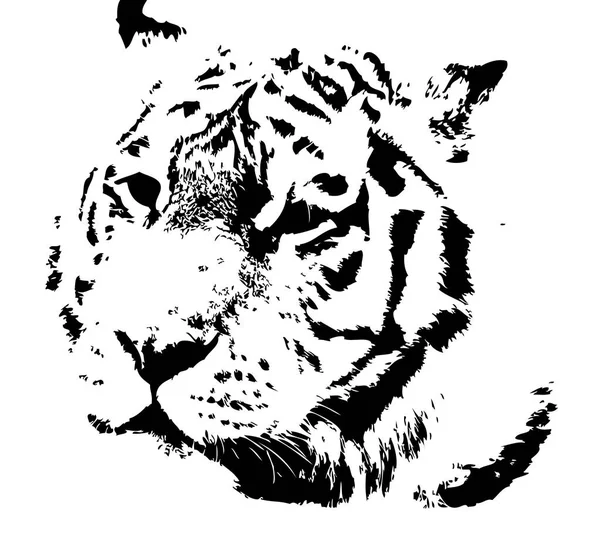 Dibujo Ilustración Arte Tigre — Foto de Stock