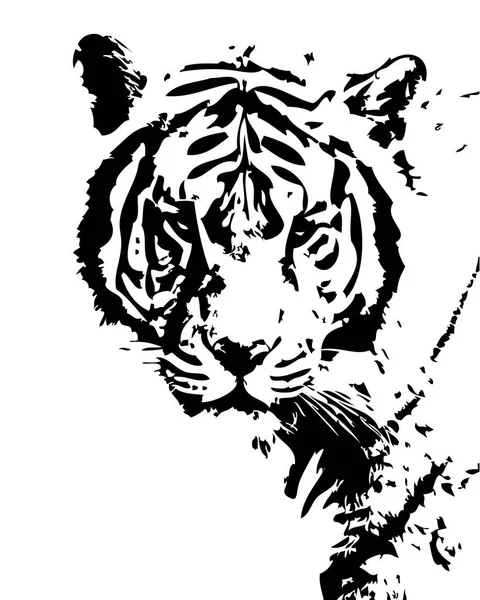 Tiger Art Illustration Ritning — Stockfoto