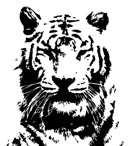 Dibujo Ilustración Arte Tigre —  Fotos de Stock