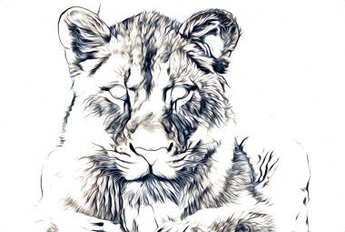 Aslan sanat çizim çizim