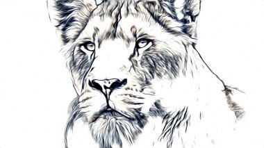 Aslan sanat çizim çizim