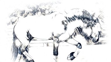 serbest el at baş karakalem