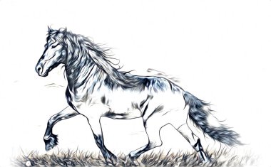 serbest el at baş karakalem