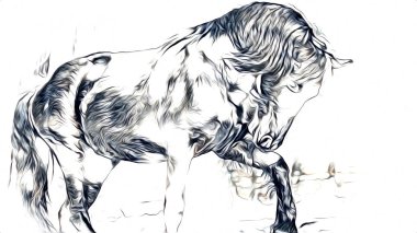 serbest el at baş karakalem